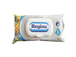 deli-regina-papier-toaletowy-nawilzany-ultra-med-42