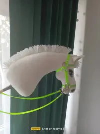 hobby-horse-fiordzki