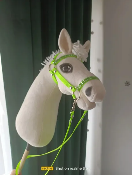 hobby-horse-fiordzki-stan-nowy