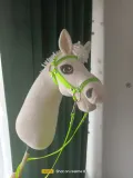 hobby-horse-fiordzki-stan-nowy
