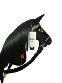 hobby-horse-kary