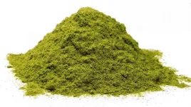 mlody-jeczmien-300g