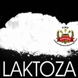 laktoza-lactose-niefermentowalny-cukier-mlekowy-op-250-g