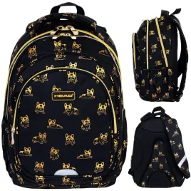 plecak-szkolny-trzykomorowy-astra-head-ab300-golden-frenchie