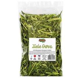 ziele-owsa-80g-alegia-swietny-dodatek-do-pokarmu-twojego-gryzonia