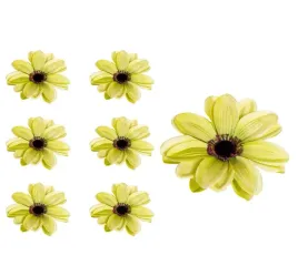 dalia-glowka-kwiatowa-zielona-6-sztuk