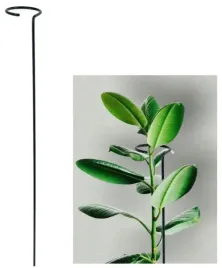 podpora-metalowa-pierscien-ogrodu-roslin-borowki-kwiatow-roz-hortensji-60cm