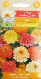 cynia-skabiozowa-mix-nasiona-kwiatow-1g-toraf