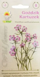 gozdzik-kartuzek-nasiona-kwiatow-02g-toraf