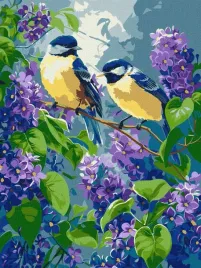 malowanie-po-numerach-wiosenny-duet-30x40cm