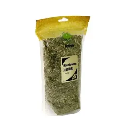 astron-rdestowiec-japonski-ziele-200g-odpornosc