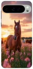 etui-case-do-google-pixel-9-9-pro-konie-koniki-horse