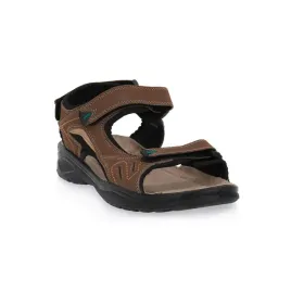 81501brown