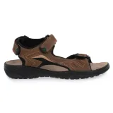 81501brown-kod-producenta-81501brown