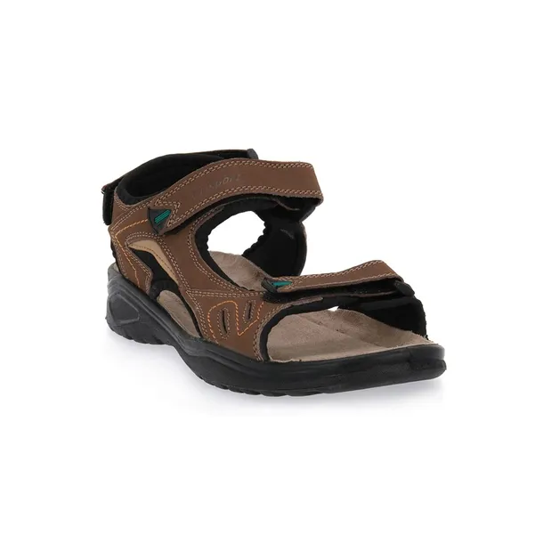 81501brown