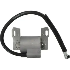 cewka-modul-briggs-stratton-intek-v-twin-592846-799651-691060-445-40f-40g