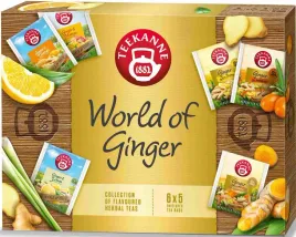 teekanne-kolekcja-30tb-world-of-ginger
