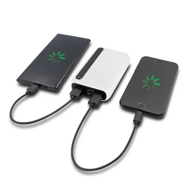 power-bank-10000-mah-or-dashonte-pojemnosc-akumulatora-10000-mah