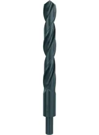 bosch-wiertlo-hss-r-20x205-mm