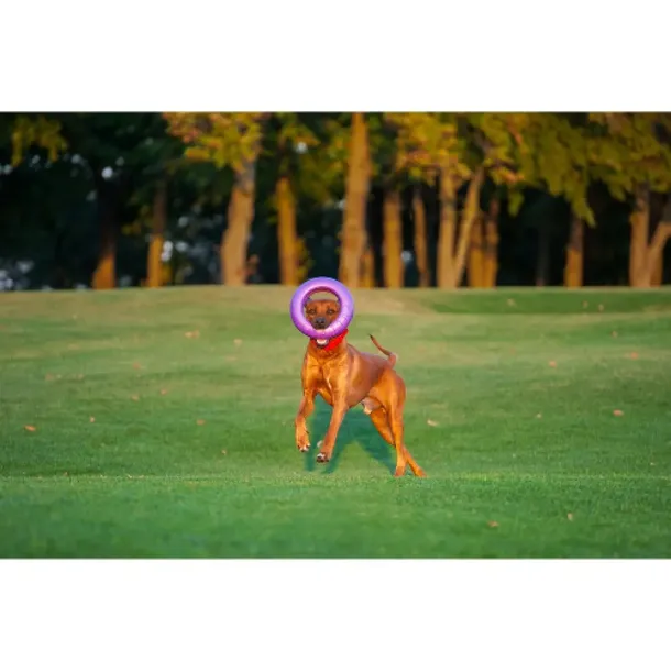 waudog-puller-narzedzie-do-cwiczen-30cm-rodzaj-gryzaki