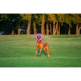 waudog-puller-narzedzie-do-cwiczen-30cm-rodzaj-gryzaki