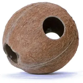 caly-kokos-naturalny-terrario-cocolair