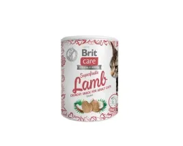 brit-care-cat-snack-superfruits-lamb-100g