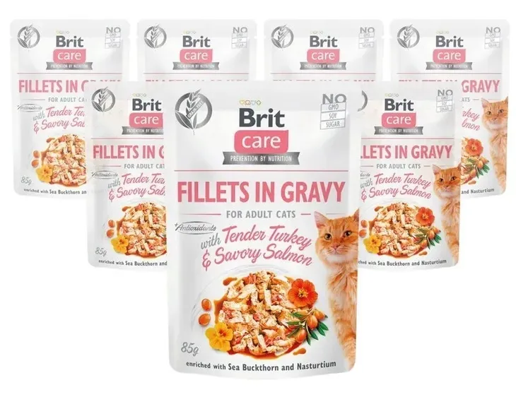 brit-cat-care-gf-savory-salmon-85g-rodzaj-opakowania-saszetka