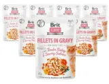 brit-cat-care-gf-savory-salmon-85g-rodzaj-opakowania-saszetka