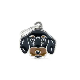 myfamily-friends-adresowka-identyfikator-wire-haired-dachshund