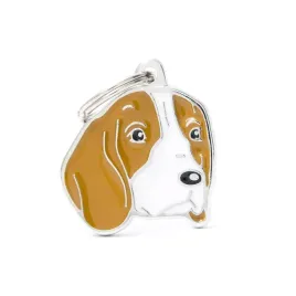 myfamily-friends-adresowka-identyfikator-beagle