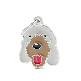 myfamily-friends-adresowka-identyfikator-italian-spinone