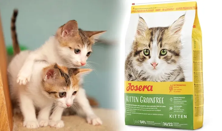 josera-kitten-grainfree-10kg-kod-producenta-4032254754992