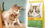 josera-kitten-grainfree-10kg-kod-producenta-4032254754992