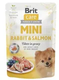 brit-dog-mini-pouch-rabbitandsalmon-24x85g