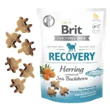 brit-functional-snack-antistress-150g-cechy-dodatkowe-bezzbozowe