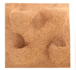 tlo-z-kokosa-terrario-cocobackgroud-40x40