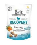 brit-functional-snack-recovery-150g