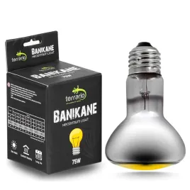 zarowka-grzewcza-neodymowa-75w-terrario-banikane-neodymium-light