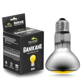 zarowka-grzewcza-neodymowa-50w-terrario-banikane-neodymium-light