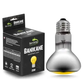 zarowka-grzewcza-neodymowa-25w-terrario-banikane-neodymium-light