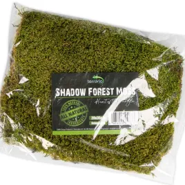 mech-naturalny-35x30cm-terrario-shadow-forest-moss