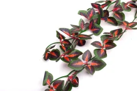 roslina-wiszaca-40cm-koleus-blumego-repti-zoo