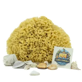 gabka-do-kapieli-naturalna-morska-rozmiar-3xl-20-22-cm