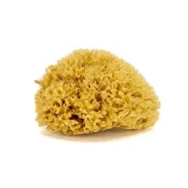 gabka-do-kapieli-naturalna-morska-rozmiar-l-14-16-cm
