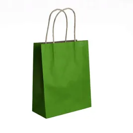 papierowe-torby-na-prezenty-a4-eko-24x32cm-10szt-kolorowe-zielone-d