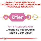 royal-canin-maine-coon-kitten-2kg-wiek-zwierzecia-kocieta-i-mlode-koty