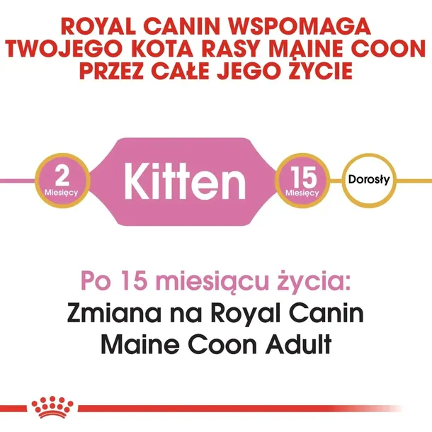 royal-canin-maine-coon-kitten-2kg-marka-royal-canin-smak-kurczak