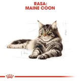 royal-canin-maine-coon-4kg-marka-royal-canin