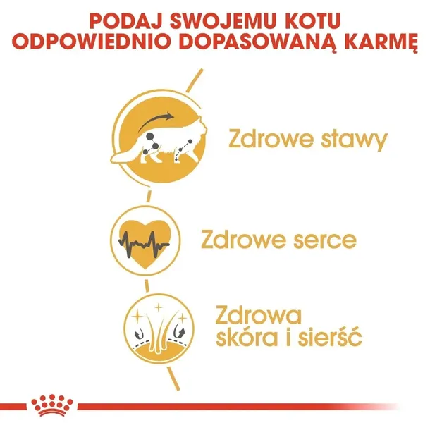 royal-canin-maine-coon-4kg-karmy-specjalne-nie-dotyczy